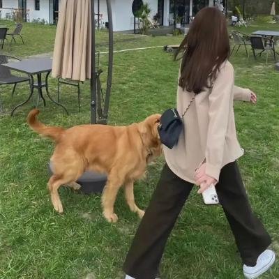 解谎侦探少女
