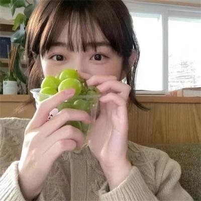 新选组始末录